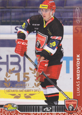 Nedvídek Lukáš 13-14 OFS Plus Gold #246