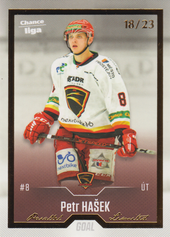 Hašek Petr 22-23 GOAL Cards Chance liga Gold #252