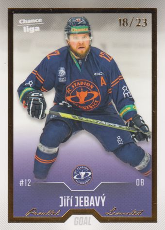 Jebavý Jiří 22-23 GOAL Cards Chance liga Gold #262