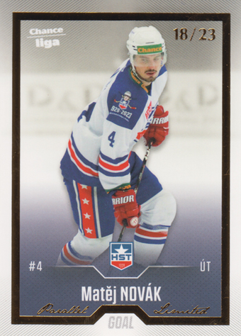 Novák Matěj 22-23 GOAL Cards Chance liga Gold #279