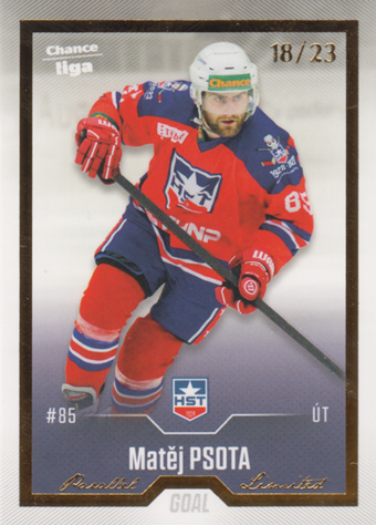 Psota Matěj 22-23 GOAL Cards Chance liga Gold #286