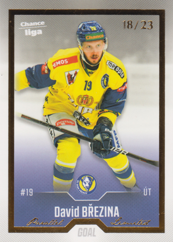 Březina David 22-23 GOAL Cards Chance liga Gold #297