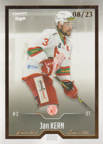 Kern Jan 22-23 GOAL Cards Chance liga Gold #307