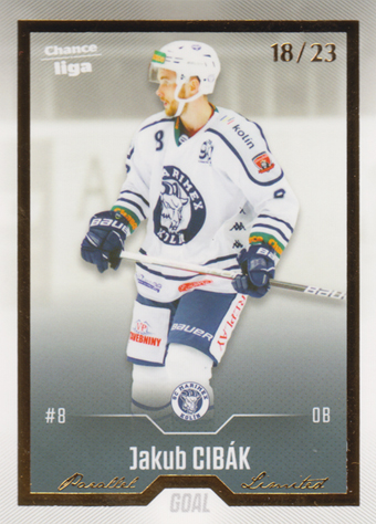 Cibák Jakub 22-23 GOAL Cards Chance liga Gold #316