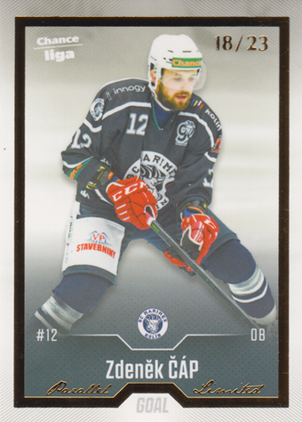 Čáp Zdeněk 22-23 GOAL Cards Chance liga Gold #317