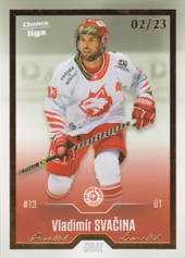 Svačina Vladimír 22-23 GOAL Cards Chance liga Gold #335