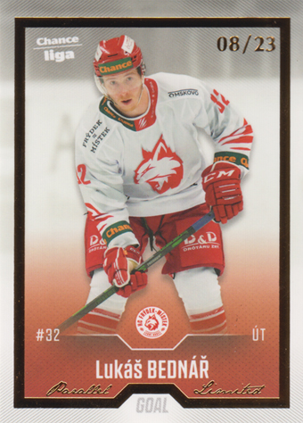 Bednář Lukáš 22-23 GOAL Cards Chance liga Gold #340