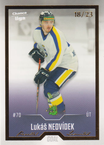 Nedvídek Lukáš 22-23 GOAL Cards Chance liga Gold #382