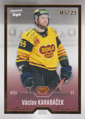 Karabáček Václav 22-23 GOAL Cards Chance liga Gold #409