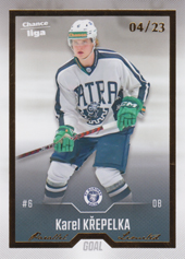 Křepelka Karel 22-23 GOAL Cards Chance liga Gold #454