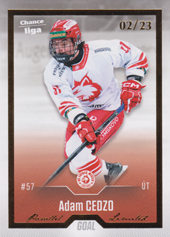 Cedzo Adam 22-23 GOAL Cards Chance liga Gold #468