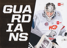 Treutle Niklas 21-22 Playercards DEL Guardians Gold #GU12