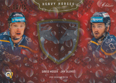 Nosek Dluhoš 20-21 OFS Classic Heavy Horses Aquadrop #HH-9