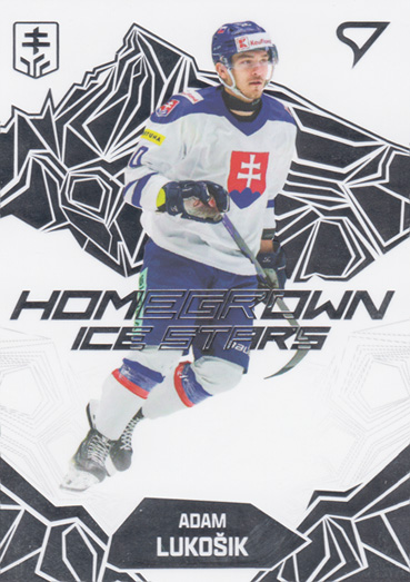 Lukošík Adam 2025 Hokejové Slovensko Homegrown Ice Stars #HS-14