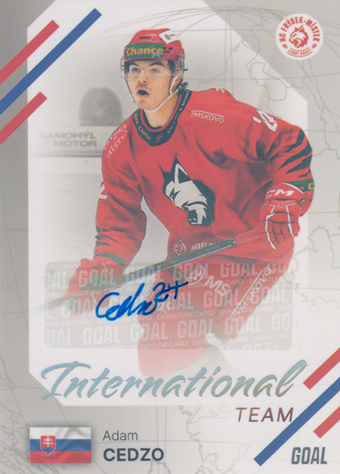 Cedzo Adam 23-24 GOAL Cards Chance liga International Team Auto #IN-24
