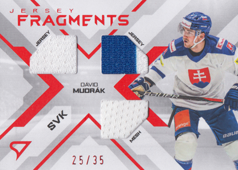 Mudrák Dávid 2024 Hokejové Slovensko Jersey Fragments Level 2 #JF-DM