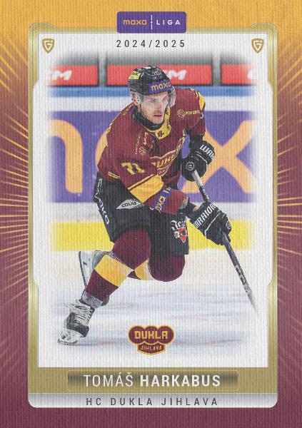 Harkabus Tomáš 24-25 GOAL Cards Maxa liga Canvas #JIH-18