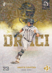 Pernička Martin 2022 LC Czech Baseball Jungle #26