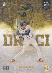 Prokop Milan 2022 LC Czech Baseball Jungle #31