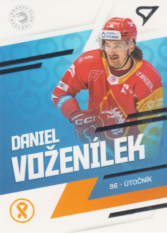 Voženílek Daniel 2024 SportZoo O kapku lepší hokej #KN-01