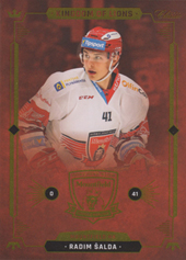 Šalda Radim 2021 OFS Kingdom of Lions #B06