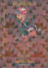 Čáp Zdeněk 2021 OFS Kingdom of Lions Cracked Ice #B09