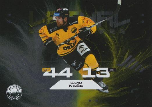 Kaše David 25-26 Tipsport Extraliga Lethal Cannoneers #LC-17