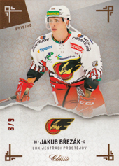Březák Jakub 19-20 OFS Chance liga Leather #138
