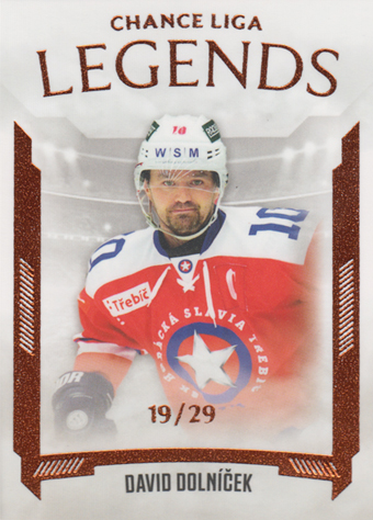 Dolníček David 22-23 GOAL Cards Chance liga Legends Parallel #LL-23