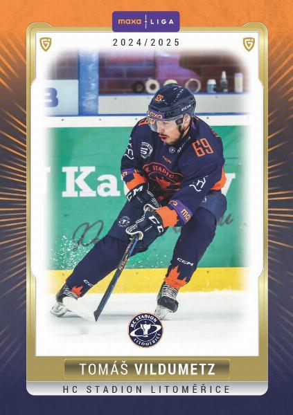 Vildumetz Tomáš 24-25 GOAL Cards Maxa liga #LIT-14