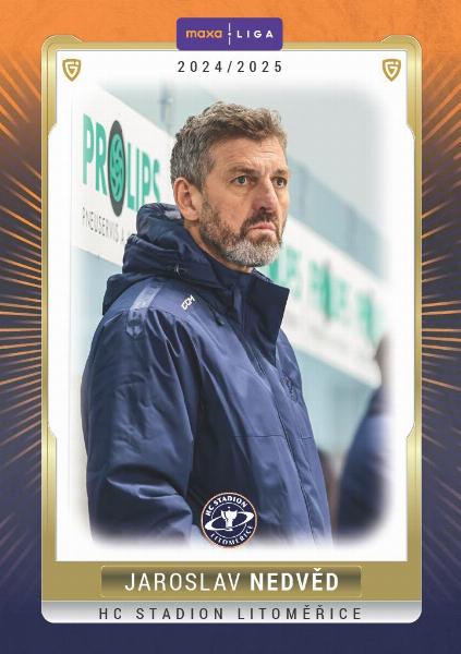 Nedvěd Jaroslav 24-25 GOAL Cards Maxa liga #LIT-24