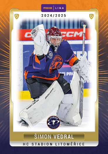 Vedral Šimon 24-25 GOAL Cards Maxa liga #LIT-26