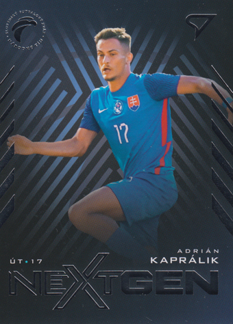 Kaprálik Adrián 2024 Slovenskí Sokoli NextGen #NG-7