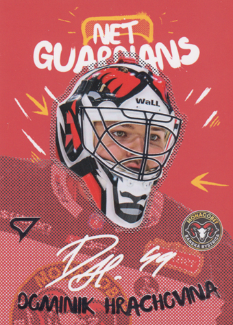 Hrachovina Dominik 24-25 Tipos Extraliga Net Guardians #NG-10