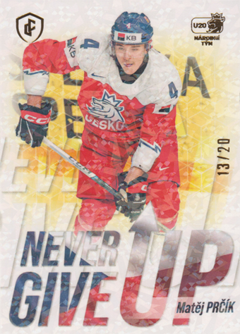 Prčík Matěj 2024 LC Expectations Never Give Up Gold #NGU-02