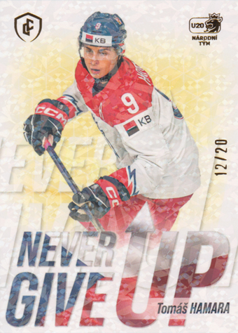 Hamara Tomáš 2024 LC Expectations Never Give Up Gold #NGU-06