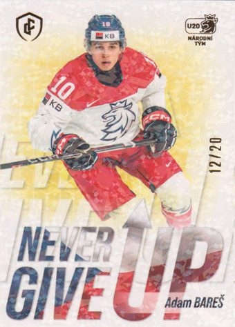 Bareš Adam 2024 LC Expectations Never Give Up Gold #NGU-07