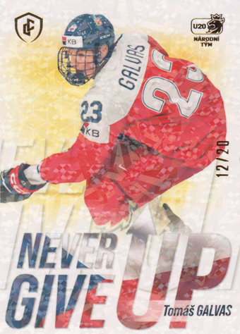 Galvas Tomáš 2024 LC Expectations Never Give Up Gold #NGU-18