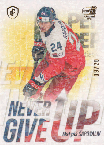 Šapovaliv Matyáš 2024 LC Expectations Never Give Up Gold #NGU-19