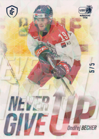 Becher Ondřej 2024 LC Expectations Never Give Up Blue #NGU-15