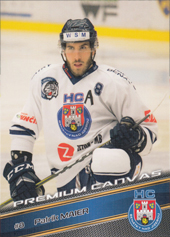 Maier Patrik 17-18 Premium Cards Premium Canvas #6