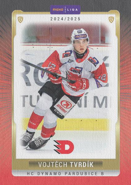 Tvrdík Vojtěch 24-25 GOAL Cards Maxa liga Canvas #PCE-07