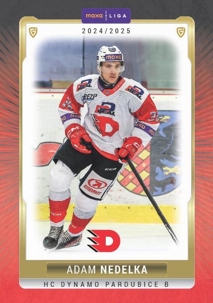 Nedelka Adam 24-25 GOAL Cards Maxa liga #PCE-09