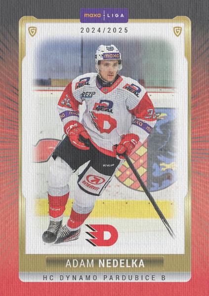 Nedelka Adam 24-25 GOAL Cards Maxa liga Canvas #PCE-09