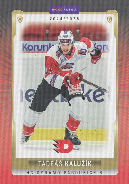 Kalužík Tadeáš 24-25 GOAL Cards Maxa liga Canvas #PCE-16