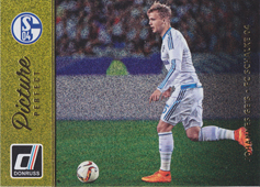 Geis Johannes 16-17 Panini Donruss Picture Perfect Gold #41