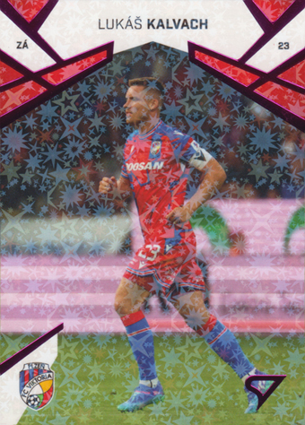 Kalvach Lukáš 24-25 Chance Liga Pink #31