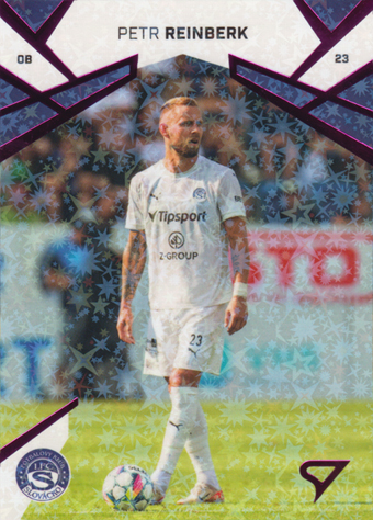 Reinberk Petr 24-25 Chance Liga Pink #64