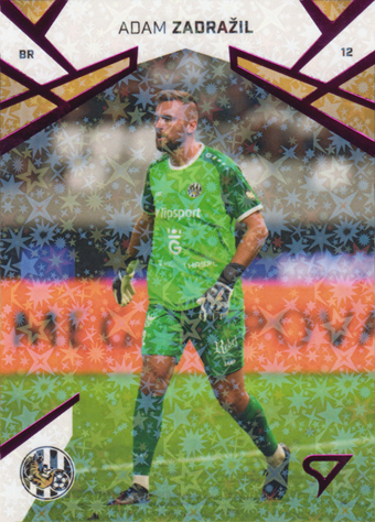 Zadražil Adam 24-25 Chance Liga Pink #73