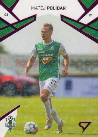 Polidar Matěj 24-25 Chance Liga Pink #124